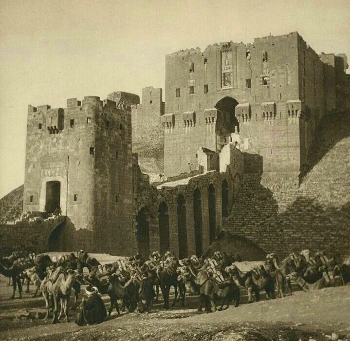 حلب وقلعتها – تاريخ متجذّر